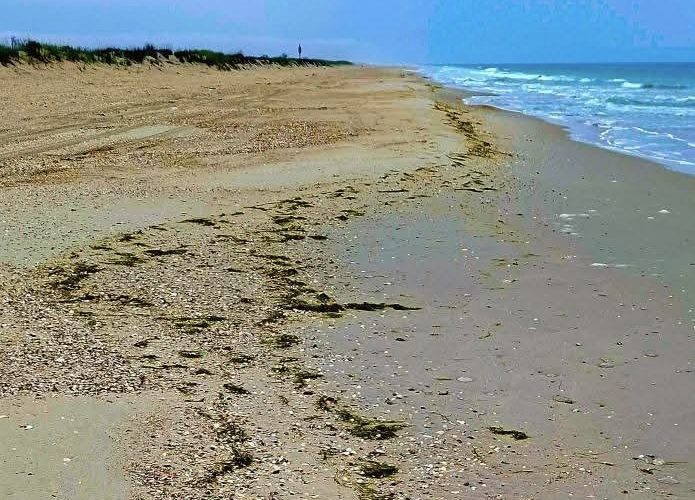 Олія після удару по Чорноморську забруднює узбережжя Одеси
