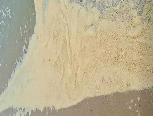 Одеса під загрозою: масштабне забруднення Черного моря