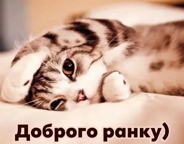 Одеський гумор: ловимо позитив у місті