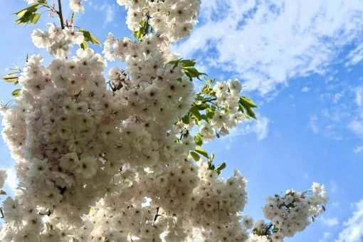 Сонячна Одеса: що чекати на початку червня